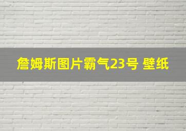 詹姆斯图片霸气23号 壁纸